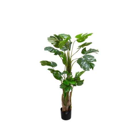 Monstera Artificial