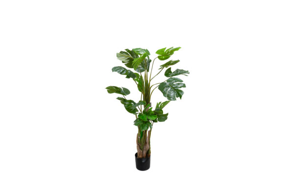 Monstera Artificial